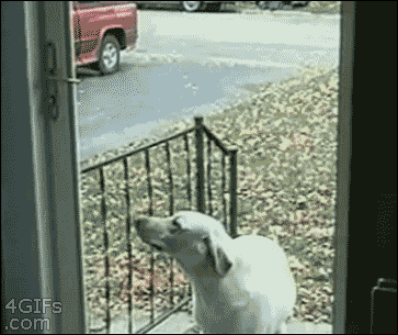 GIF by Demic