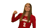 Wisconsin Volleyball Sport Sticker by Wisconsin Badgers