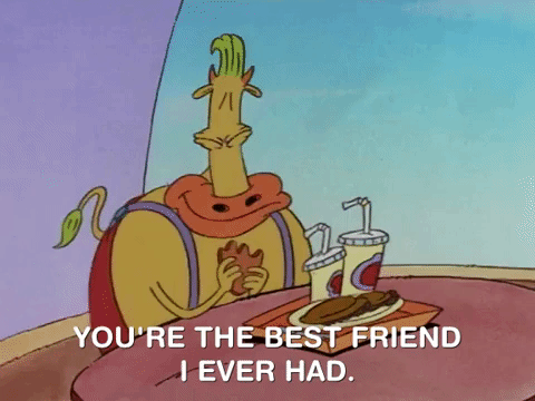 rockos modern life nicksplat GIF