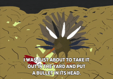 turkey feathers GIF by South Park 
