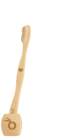 Toothbrush Bamboo Sticker by pandoo