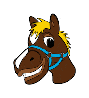 Horse Racing Sticker by Del Mar Racing
