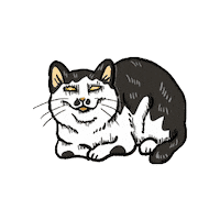 Laugh Smile Sticker