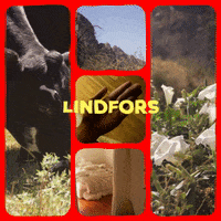 christian_lindfors lindfors farms GIF