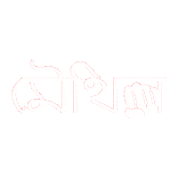 India Sticker