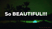 Sun Love GIF