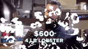 viceland GIF by MOST EXPENSIVEST