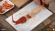 GIF by MasterChefAU