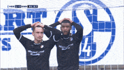 GIF by FOX Sports