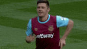 premier league soccer GIF by West Ham United