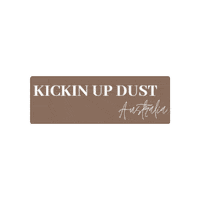 Buckle Up Country Living Sticker by Kickin Up Dust