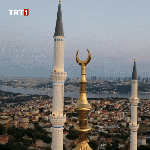 Night Drone GIF by TRT