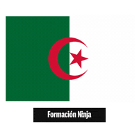 Algeria Flag Sticker by Formación Ninja