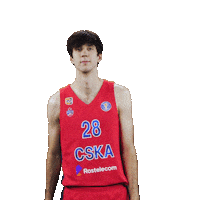 Sport Basketball Sticker by CSKA Moscow