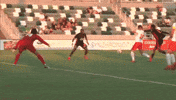 goal oc GIF by Orange County Soccer Club