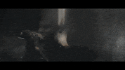band yell GIF by Epitaph Records