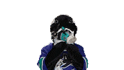 Mascot Fin Sticker by Vancouver Canucks