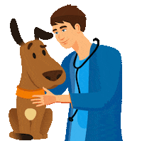 Hund Tier Sticker by foerdehunde