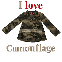 maisoncherie maison camo camouflage cherie Sticker