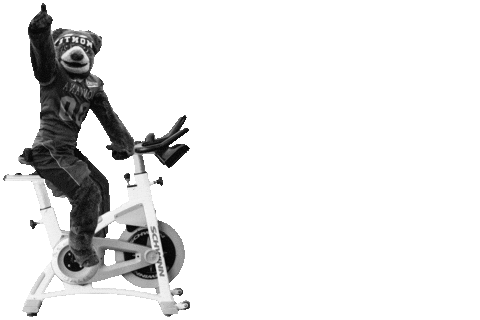 Monte Griz Sticker by SOBBACYCLE