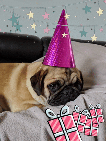 Pug Mops GIF