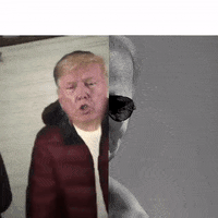Joe Biden GIF