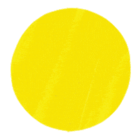 Circle Lion Sticker