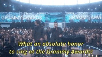 Grammy Awards 61St Grammys GIF by Recording Academy / GRAMMYs