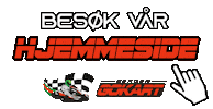 bergengokart  Sticker