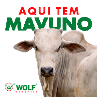 Agro Pecuaria Sticker by Wolf Sementes