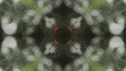 Art Love GIF by jorgemariozuleta