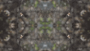 Art Love GIF by jorgemariozuleta