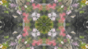 Art Film GIF by jorgemariozuleta