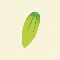 Family Love GIF by Publix