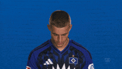 Look Up Hamburger Sv GIF by Bundesliga
