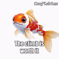 Goal Glow GIF by TheConfishius