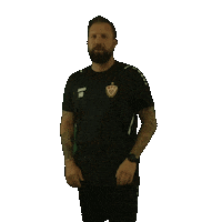 Football Soccer Sticker by BFC Dynamo
