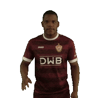 Wave Sticker by BFC Dynamo