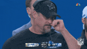 Detroit Lions Football GIF by NFL
