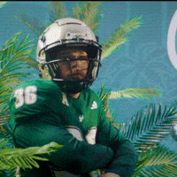 College Football GIF by USF Athletics