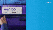 GIF by Wingo