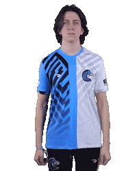 Esports Zebra Sticker by BS+COMPETITION