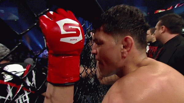 giphyupload fight ufc mma nick GIF