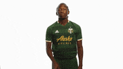Portland Timbers Silence GIF by Timbers