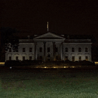 White House Trump GIF by THEOTHERCOLORS