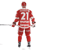 Stjernenalag Sticker by StjernenHockey