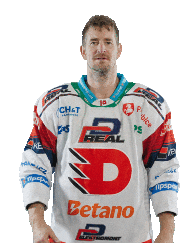 Hockey Czech Sticker by HC Dynamo Pardubice