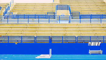 Jump Run GIF by University of Florida