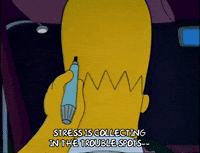 Driving Season 3 GIF by The Simpsons