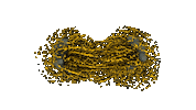 AllenInstitute cell allen mitosis anaphase Sticker